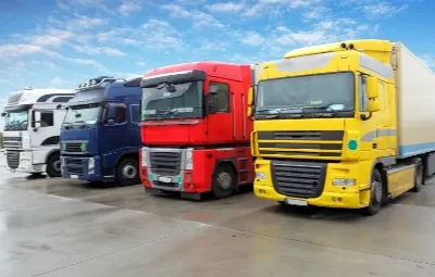 Antalya Kavak Nakliye Ambarı